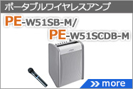 PE-W51SB-M/PE-W51SCDB-M用ワイヤレスアンプ